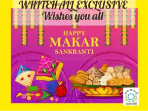 Album_11483436840-300x225 (2)-optimized